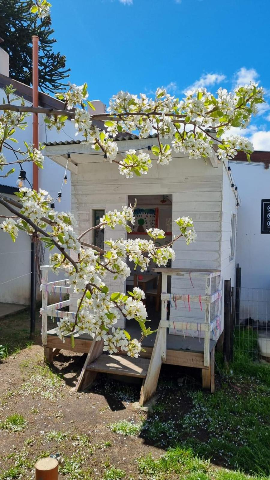 Hol Gok Patagonia Apartment Esquel Exterior foto